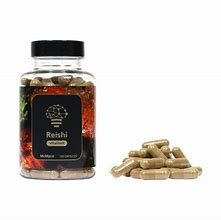 Reishi-Extract-–-120-Capsules.jpg